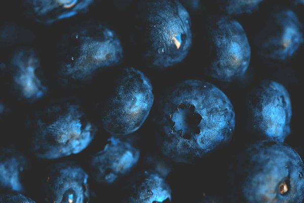 Comment la consommation de myrtilles peut-elle influencer la fonction cognitive chez les seniors?