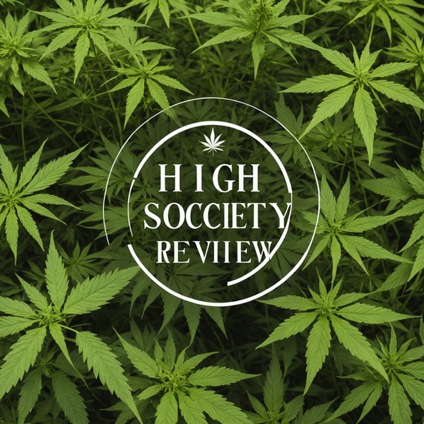 Avis high society : expert en chanvre de luxe